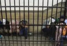 "خطيبي قالي فيه حفلة".. نص تحقيقات الفتاة الوحيدة في "حفل شذوذ فيلا أك