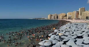 ذروة موسم الصيف.. تعرف على أسعار تذاكر كافة شواطئ الإسكندرية - صور