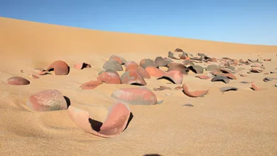 رحلة عبر الزمن.. كيف كشف درب أبو بلاص أسرار بعثات خوفو إلى الواحات؟ (ص