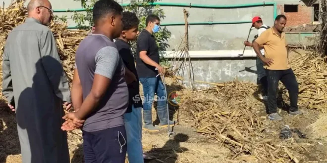 صيادو الثعابين بمنيا القمح: أمسكنا بـ5 أفاعِِ وما زلنا نطارد كوبرا الق