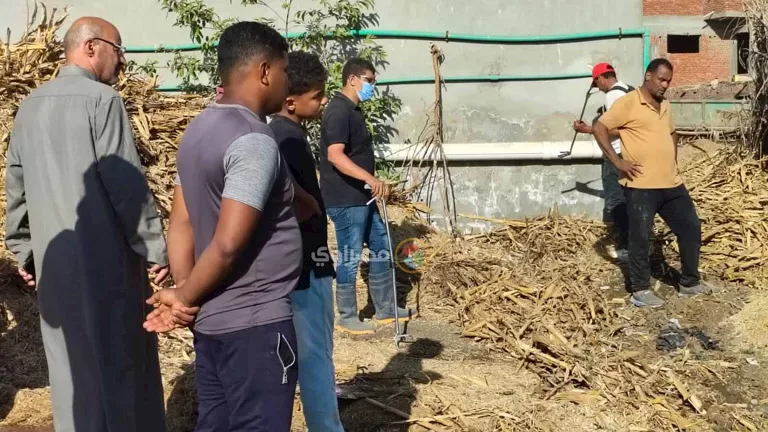 صيادو الثعابين بمنيا القمح: أمسكنا بـ5 أفاعِِ وما زلنا نطارد كوبرا الق