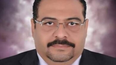 ضياء مكاوي رئيس لإقليم وسط الصعيد الثقافي