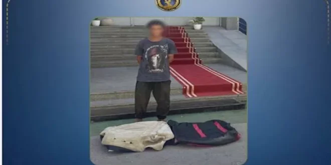 "عشة فوق شجرة".. لغز فيديو الإسماعيلية المثير للجدل ينتهي في القسم