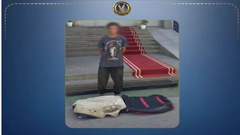 "عشة فوق شجرة".. لغز فيديو الإسماعيلية المثير للجدل ينتهي في القسم