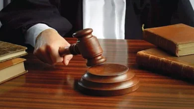 قرار جديد بشأن التيك توكر "توتة" ووالدتها بواقعة التسول الإلكتروني