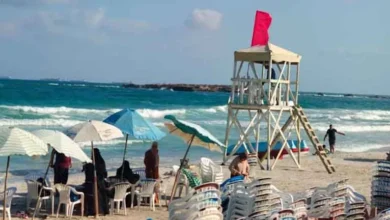 كيف تنجو من تيارات السحب؟.. منار غانم تقدم نصائح مهمة للمصطافين
