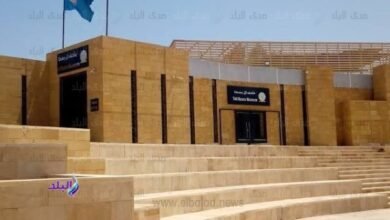 متحف تل بسطا يحتفل بذكرى اكتشاف حجر رشيد | ضي النهار متحف تل بسطا يحتفل بذكرى اكتشاف حجر رشيد