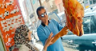 محافظ المنوفية: ضبط سلخانة غير مرخصة والتحفظ على 200 كيلو لحوم فاسدة