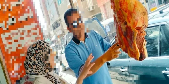 محافظ المنوفية: ضبط سلخانة غير مرخصة والتحفظ على 200 كيلو لحوم فاسدة