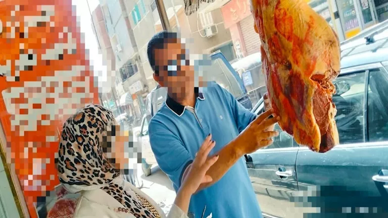 محافظ المنوفية: ضبط سلخانة غير مرخصة والتحفظ على 200 كيلو لحوم فاسدة
