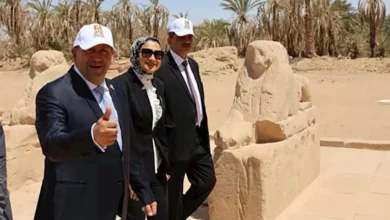 محافظ الوادي الجديد تتابع مشروعات الاستدامة بالخارجة (صور)