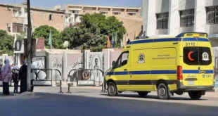 مصرع مسن وإصابة شقيقه في حادث على طريق "المحمودية - دمنهور"