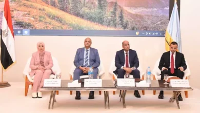 وزير العمل يسلم 250 عقد عمل للشباب في الإسكندرية