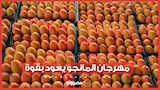 2026 8 6 12 52 8 22.webp