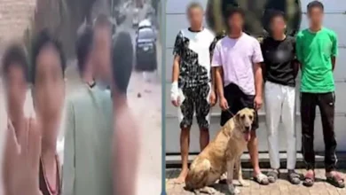 4 عاطلين وكلب.. الأمن يكشف حقيقة فيديو التعدي على المارة بالإسكندرية
