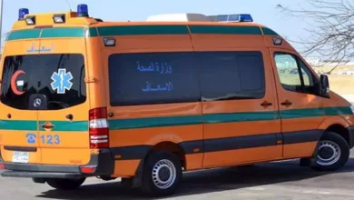 9 مصابين بينهم أطفال في تصادم ميكروباص وملاكي بالوادي الجديد