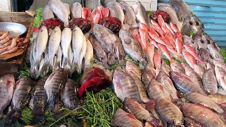 أسعار الأسماك والمأكولات البحرية في سوق العبور اليوم 7-8-2026