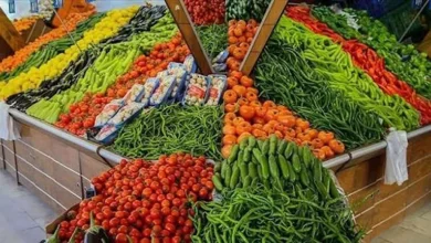 أسعار الخضروات في سوق العبور اليوم 17-8-2026.. انخفاض البطاطس