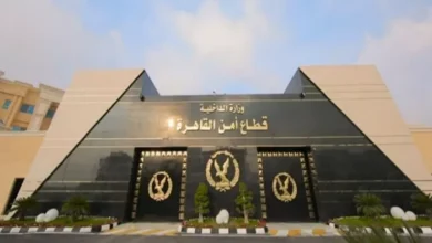 إجراء عاجل من الأمن بشأن فيديو اعتداء شابين على والداتهم داخل شقتها