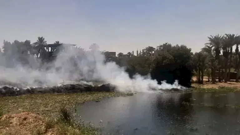 إخماد حريق هيش وحشائش على ضفاف النيل بالغربية (صور)