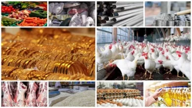 ارتفاع الدواجن والبيض والذهب.. خريطة الأسعار 6-8-2026
