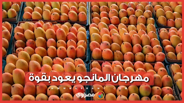 الإسماعيلية تستعد لمهرجان المانجو 4.. تفاصيل الفعاليات وموعد الانطلاق