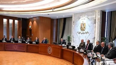 الحكومة توافق على إسقاط الجنسية عن مصري