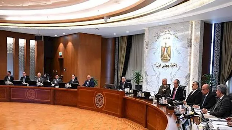 الحكومة توافق على إسقاط الجنسية عن مصري | ضي النهار الحكومة توافق على إسقاط الجنسية عن مصري