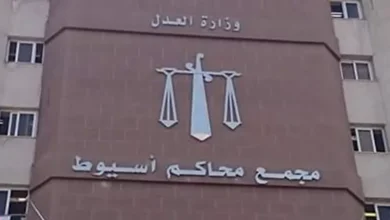 السجن 15 سنة لـ4 متهمين قتلوا شابا فى أسيوط | ضي النهار السجن 15 سنة لـ4 متهمين قتلوا شابا فى أسيوط