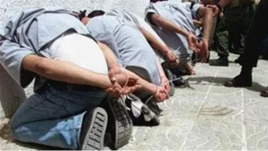 النيابة تحقق مع متهمين بحيازة 5 كيلو حشيش وسلاح وذخيرة بالوراق