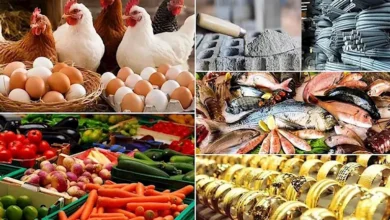 انخفاض الدواجن والبيض وارتفاع الذهب.. خريطة الأسعار 7-8-2026