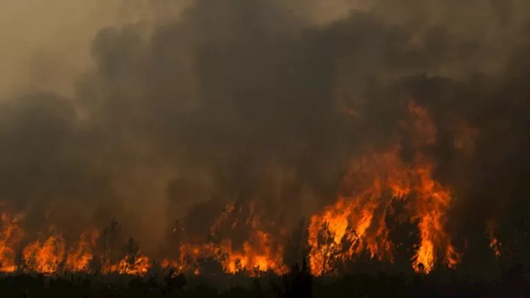 بسبب حرائق غابات فرنسا.. اكتشاف العشرات من قذائف الحرب العالمية الثاني