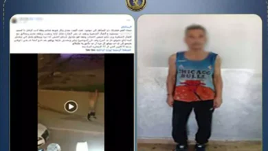 بعد تداول فيديو صادم.. ضبط شخص ظهر عاريًا واعتدى على المارة بالجيزة