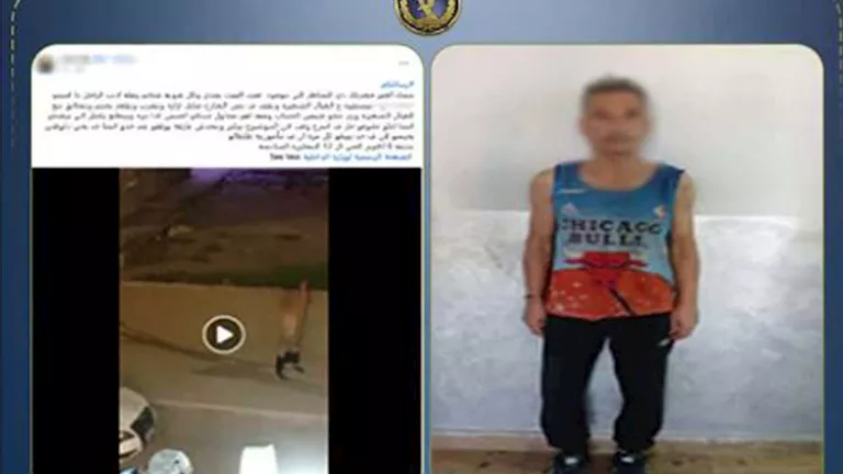 بعد تداول فيديو صادم.. ضبط شخص ظهر عاريًا واعتدى على المارة بالجيزة | ضي النهار بعد تداول فيديو صادم.. ضبط شخص ظهر عاريًا واعتدى على المارة بالجيزة
