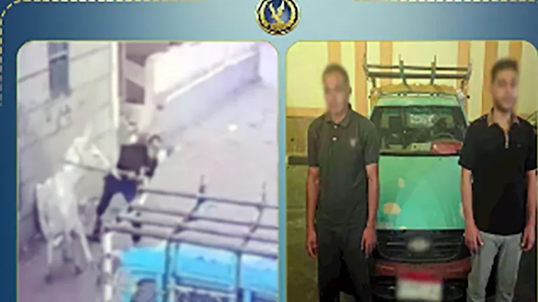 بلاغ قديم يكشف حقيقة فيديو البلطجة في الدقهلية