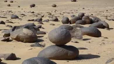 تشبه ثمار البطيخ.. أسرار صخور غامضة في قلب صحراء الوادي الجديد - صور
