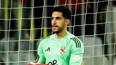 تفاصيل جديدة بشأن تجديد عقود محمد هاني ومصطفى شوبير في الأهلي