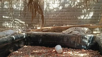جثتان و6 مصابين.. تنظيف بيارة مصنع مخلل تنتهي بكارثة في المنيا