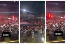 حضور جماهيري كبير لحفل شيرين عبد الوهاب في الساحل الشمالي