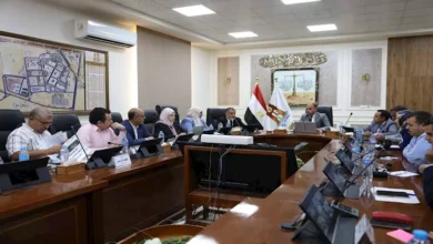 خريطة تنمية جديدة.. الوادي الجديد تحدّث مخططها الاستراتيجي حتى 2030