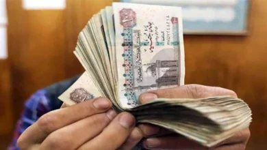 خسائر الخيار السهل.. ماذا حدث لمن ادخر 100 ألف جنيه عاما ولم يستثمرها؟