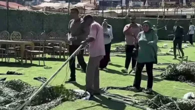 "خطر على الأرواح".. الإسكندرية تكشف أسباب إزالة قاعة أفراح شهيرة