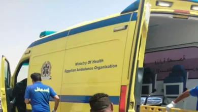 صعقة كهربائية تنهي حياة عامل داخل مصنع بسمالوط