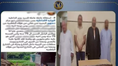 ضبط 4 أشخاص إثر مشاجرة بسبب خلافات الجيرة بالبحيرة