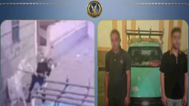 ضبط مزارع حطم سيارة ابن شقيقه بالحجارة في البحيرة | ضي النهار ضبط مزارع حطم سيارة ابن شقيقه بالحجارة في البحيرة