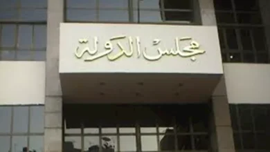 ضوابط إقامة المنشآت وممارسة الأنشطة على مجرى نهر النيل وفروعه