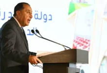 قرار حكومي بإسقاط الجنسية المصرية عن شخص