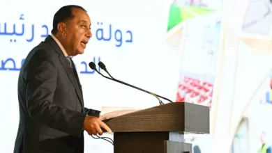 قرار حكومي بإسقاط الجنسية المصرية عن شخص