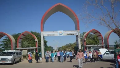 مسمار اخترق عينه.. فريق طبي بجامعة أسوان ينقذ بصر شاب عشريني