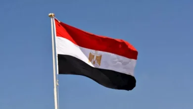 مصر تؤكد تضامنها مع النيجر بعد هجمات مسلحة
